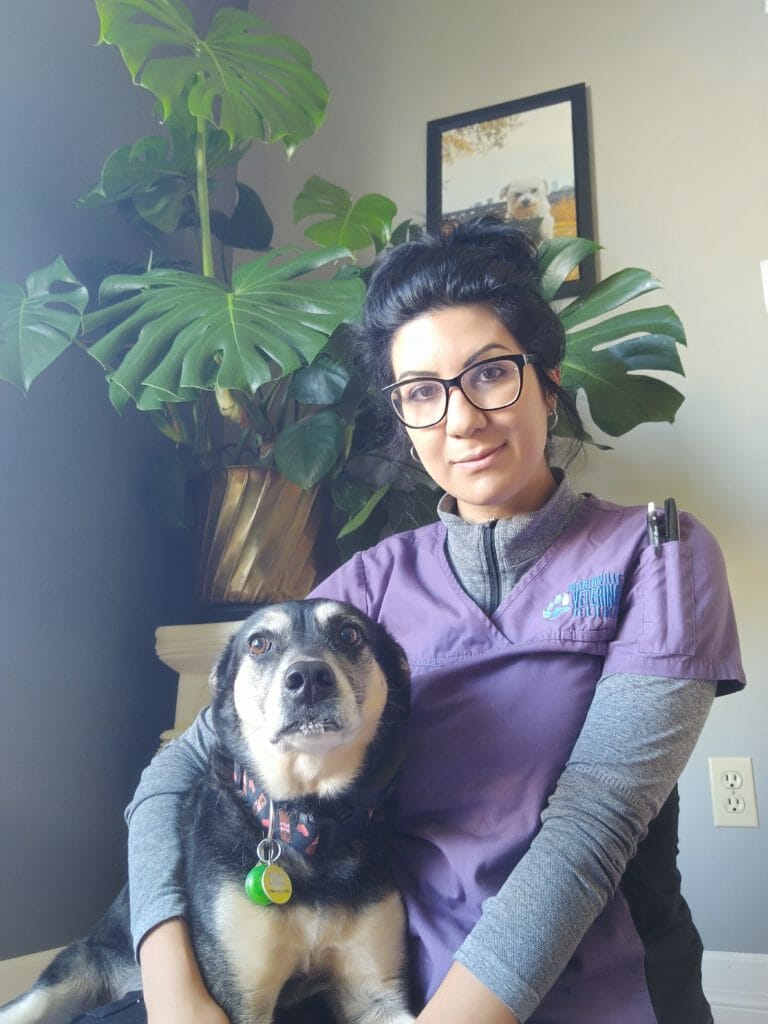 Carmela, Registered Veterinary Technician