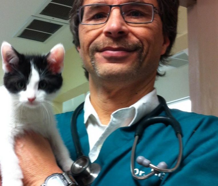 doctor-with-cat